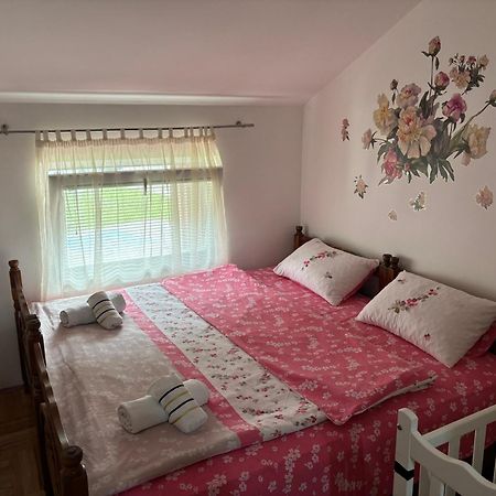 Elena Apartment Plužine Eksteriør bilde