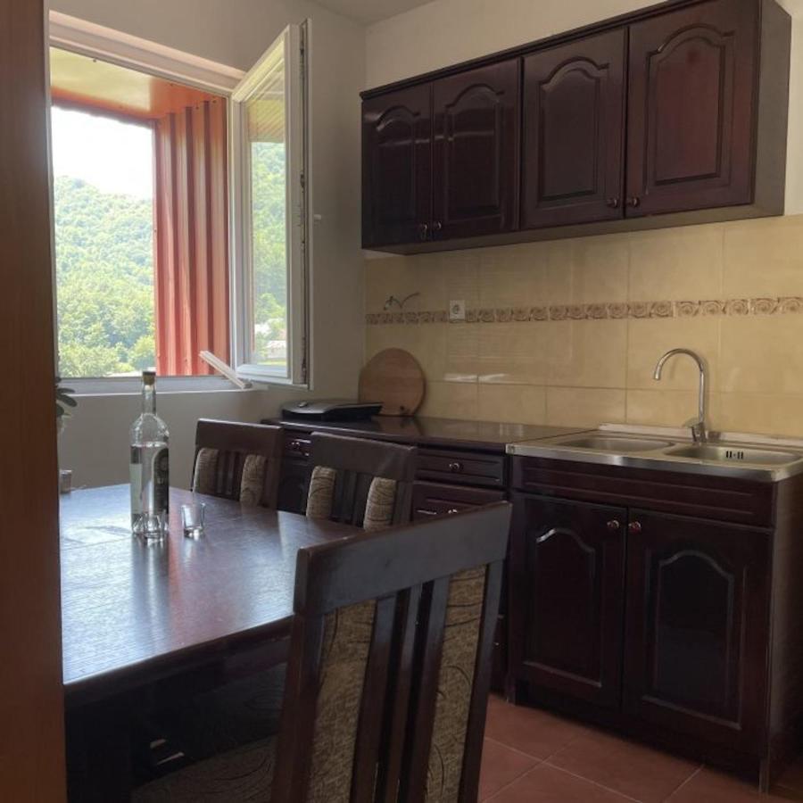 Elena Apartment Plužine Eksteriør bilde