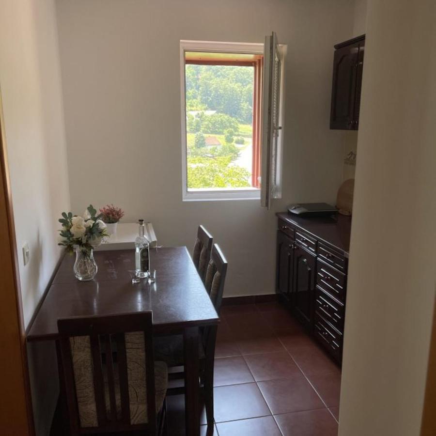 Elena Apartment Plužine Eksteriør bilde