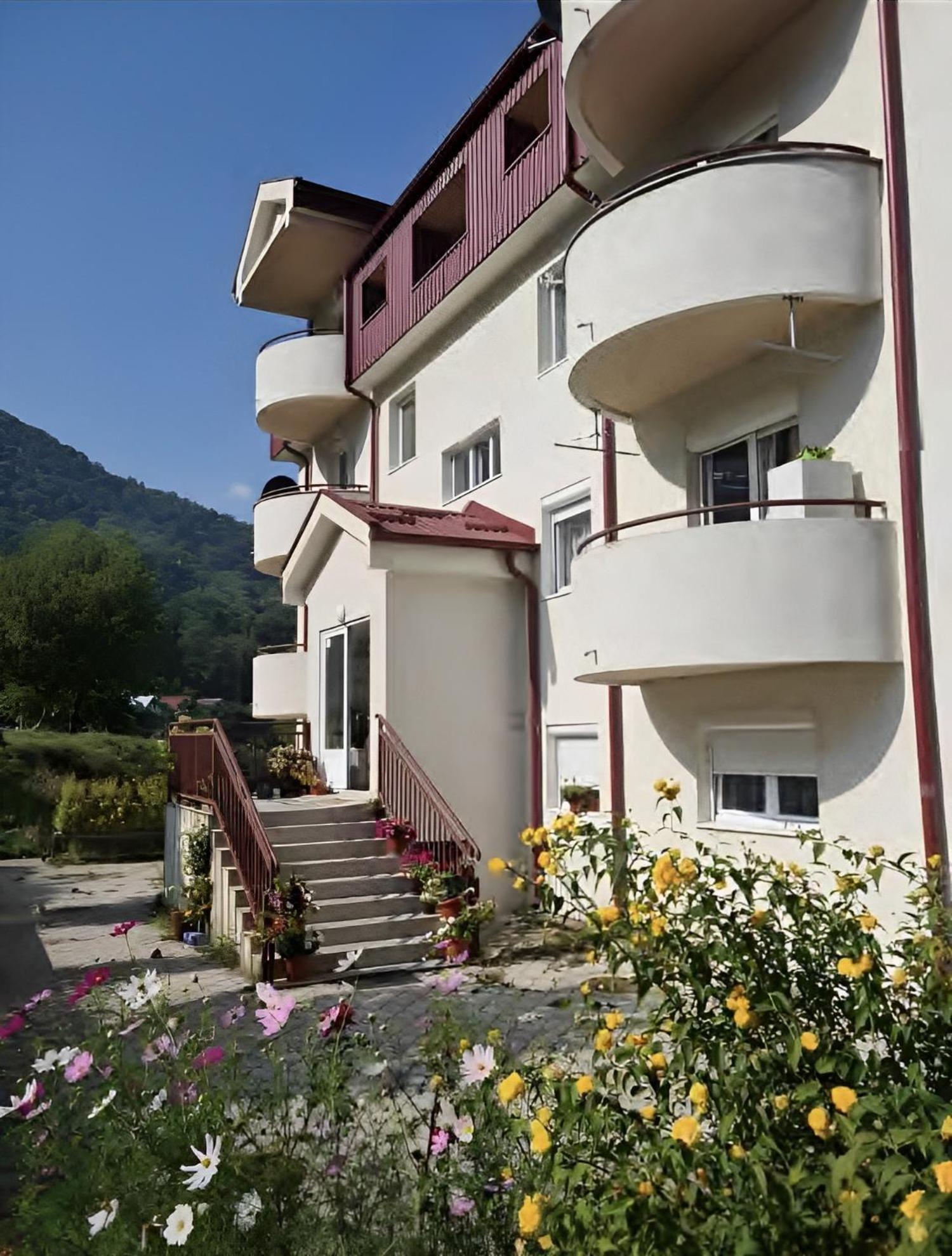Elena Apartment Plužine Eksteriør bilde